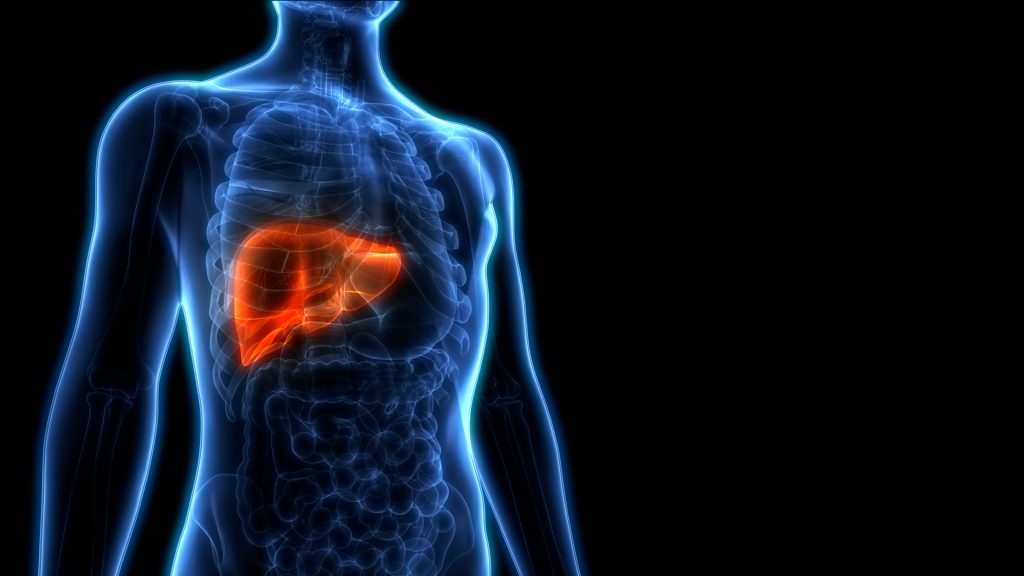Types of Liver Biopsy: Percutaneous, Transjugular, and Laparoscopic Options